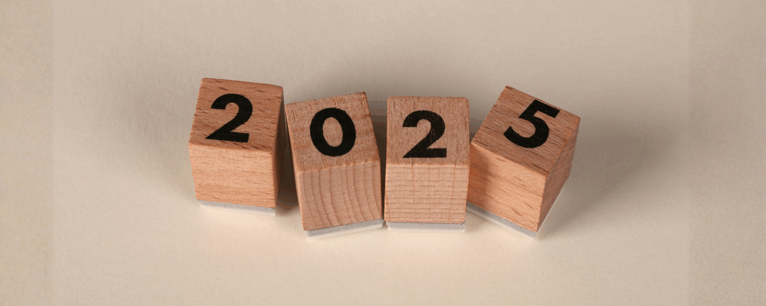 wooden blocks that say 2025.